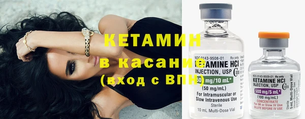 индика Алзамай