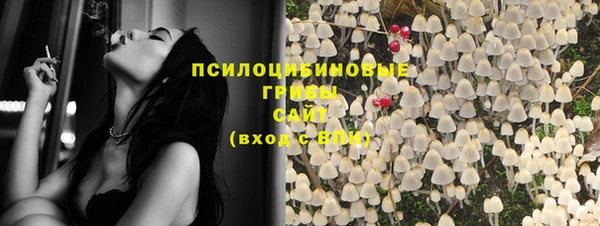 стафф Алексеевка