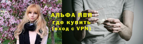 амф Алексин