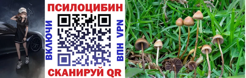 цена   Арзамас  Галлюциногенные грибы MAGIC MUSHROOMS 